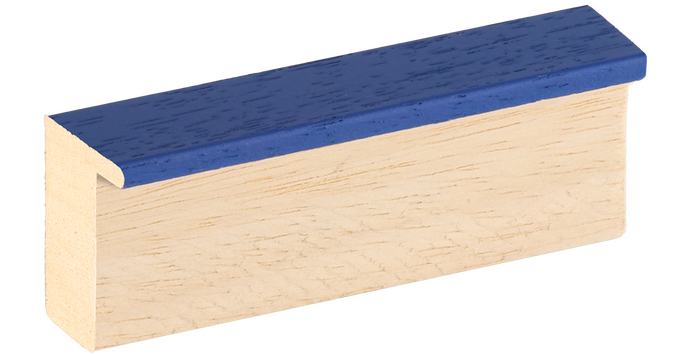 échantillon moulure BLEU